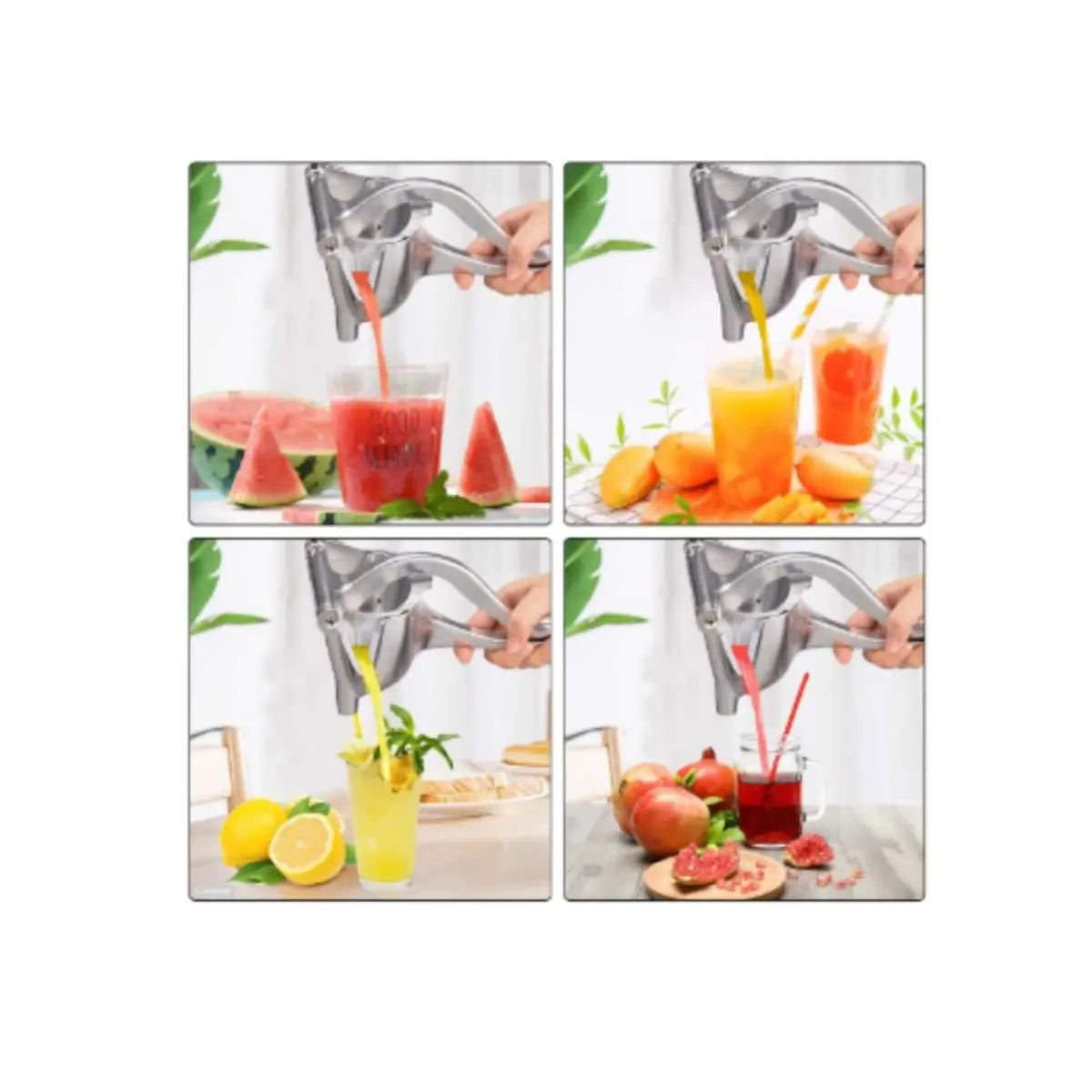 Extractor metálico de zumos de fruta premium
